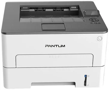 Замена прокладки на принтере Pantum P3300DW в Челябинске